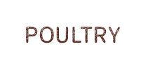 Poultry